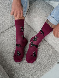 SKARPETY MĘSKIE AVANGARD [KOTY]