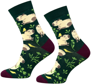 SKARPETY DAMSKIE 37/40 [KAPIBARA]