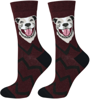 SKARPETY DAMSKIE 37/40 [PIESKI PITBULL]